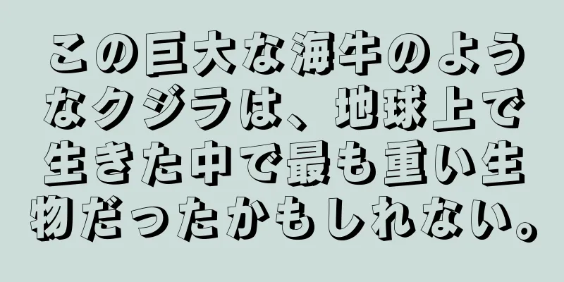 この巨大な海牛のようなクジラは、地球上で生きた中で最も重い生物だったかもしれない。