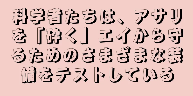 科学者たちは、アサリを「砕く」エイから守るためのさまざまな装備をテストしている