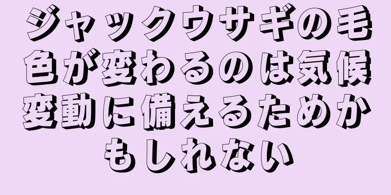 ジャックウサギの毛色が変わるのは気候変動に備えるためかもしれない