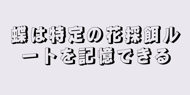 蝶は特定の花採餌ルートを記憶できる