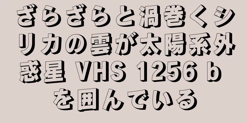 ざらざらと渦巻くシリカの雲が太陽系外惑星 VHS 1256 b を囲んでいる
