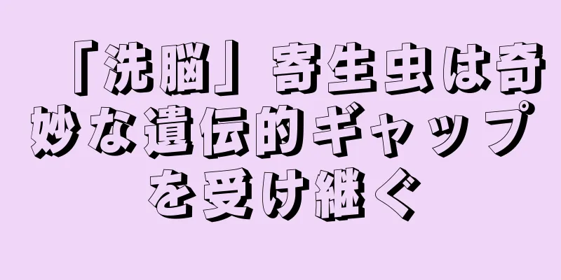 「洗脳」寄生虫は奇妙な遺伝的ギャップを受け継ぐ