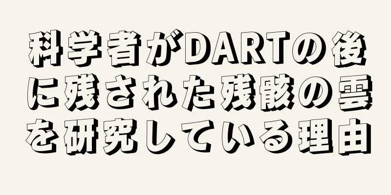 科学者がDARTの後に残された残骸の雲を研究している理由
