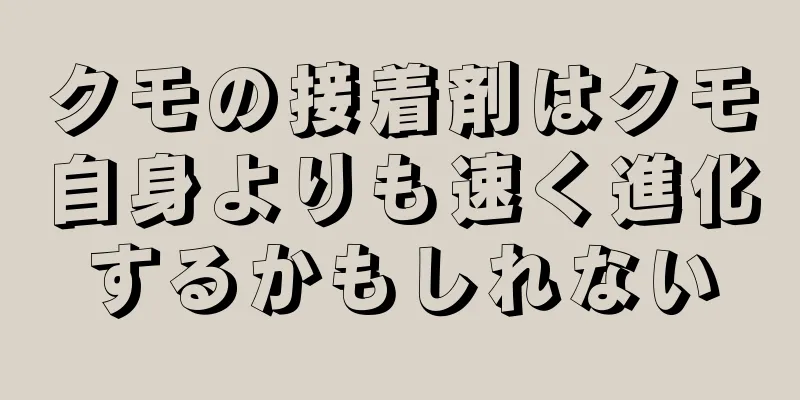 クモの接着剤はクモ自身よりも速く進化するかもしれない