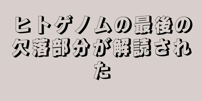 ヒトゲノムの最後の欠落部分が解読された