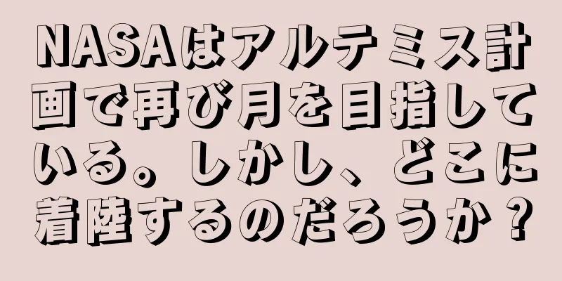 NASAはアルテミス計画で再び月を目指している。しかし、どこに着陸するのだろうか？