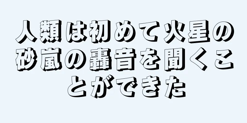 人類は初めて火星の砂嵐の轟音を聞くことができた