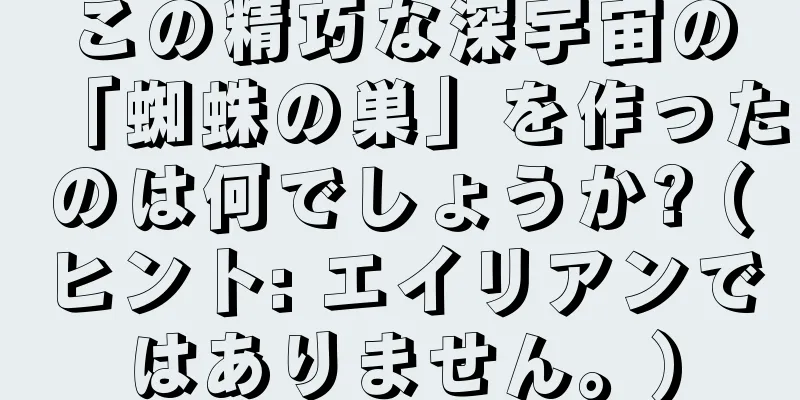 この精巧な深宇宙の「蜘蛛の巣」を作ったのは何でしょうか? (ヒント: エイリアンではありません。)