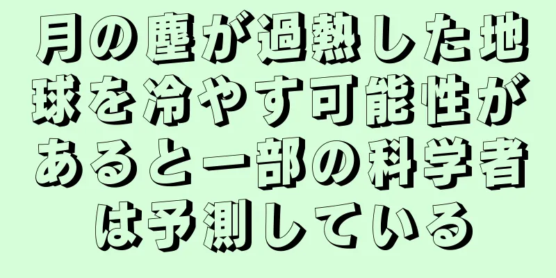 月の塵が過熱した地球を冷やす可能性があると一部の科学者は予測している