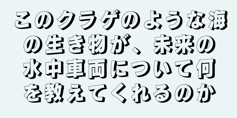 このクラゲのような海の生き物が、未来の水中車両について何を教えてくれるのか