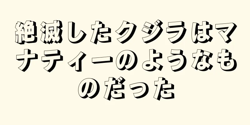 絶滅したクジラはマナティーのようなものだった