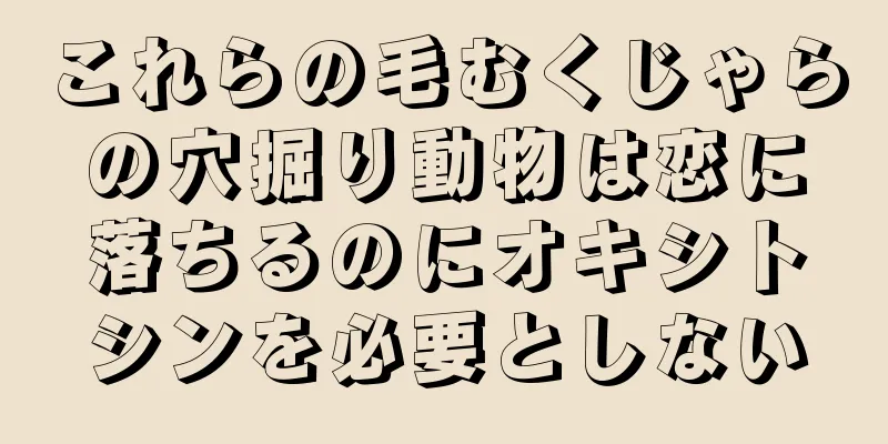 これらの毛むくじゃらの穴掘り動物は恋に落ちるのにオキシトシンを必要としない