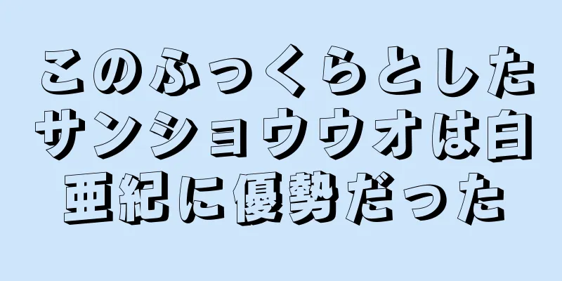 このふっくらとしたサンショウウオは白亜紀に優勢だった