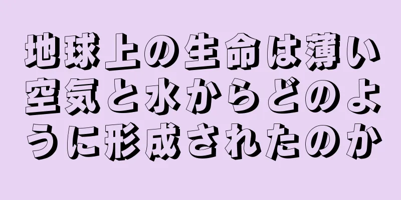 地球上の生命は薄い空気と水からどのように形成されたのか