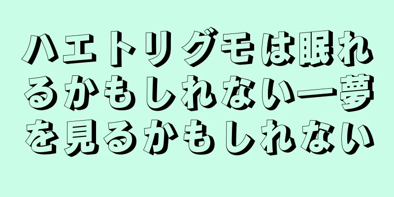 ハエトリグモは眠れるかもしれない―夢を見るかもしれない
