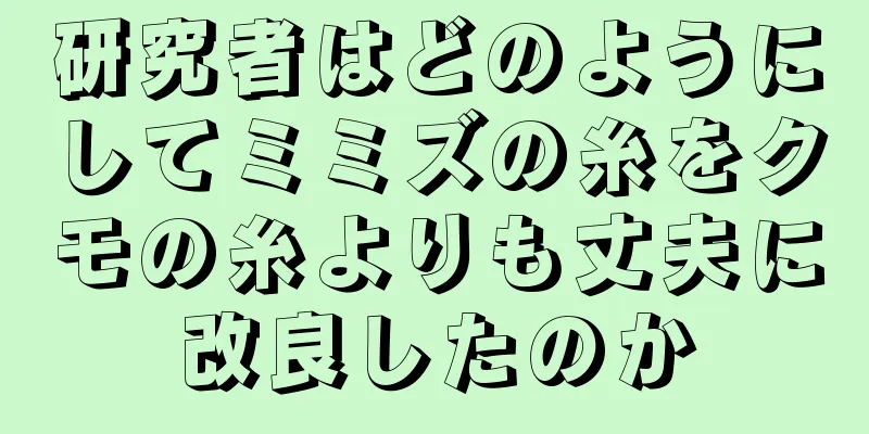 研究者はどのようにしてミミズの糸をクモの糸よりも丈夫に改良したのか