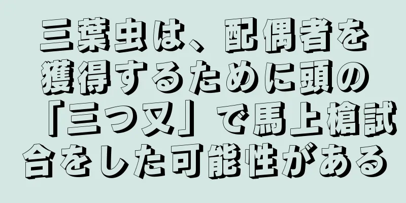 三葉虫は、配偶者を獲得するために頭の「三つ又」で馬上槍試合をした可能性がある