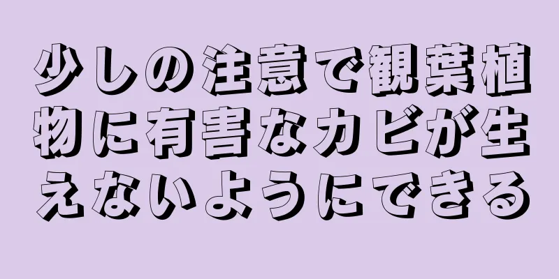 少しの注意で観葉植物に有害なカビが生えないようにできる
