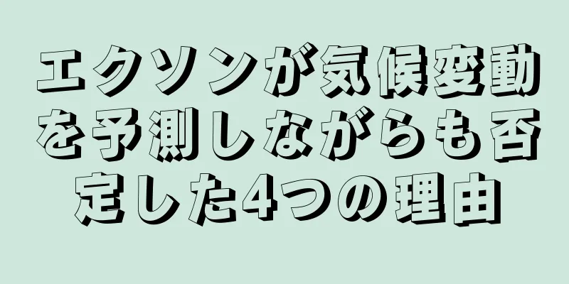 エクソンが気候変動を予測しながらも否定した4つの理由