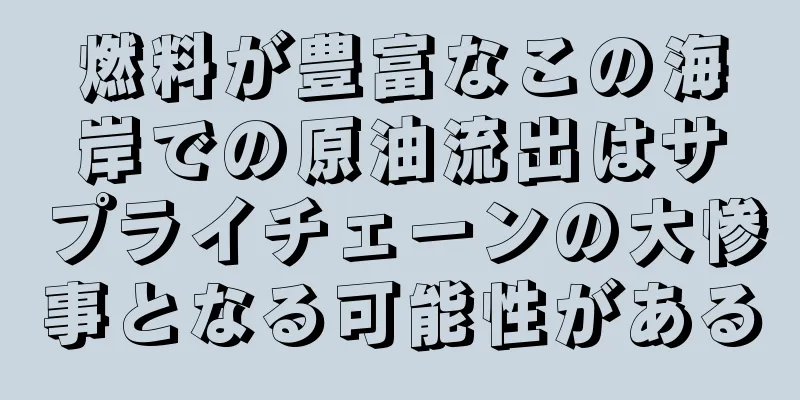 燃料が豊富なこの海岸での原油流出はサプライチェーンの大惨事となる可能性がある
