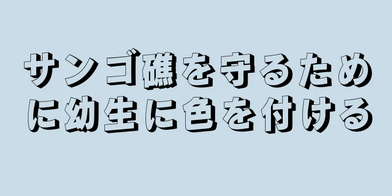 サンゴ礁を守るために幼生に色を付ける