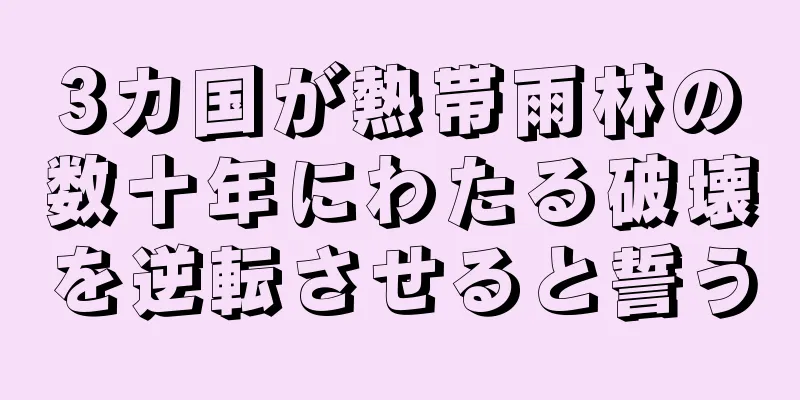 3カ国が熱帯雨林の数十年にわたる破壊を逆転させると誓う