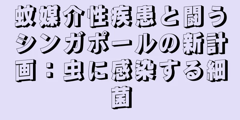 蚊媒介性疾患と闘うシンガポールの新計画：虫に感染する細菌