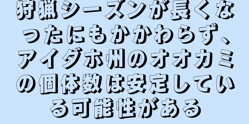 狩猟シーズンが長くなったにもかかわらず、アイダホ州のオオカミの個体数は安定している可能性がある