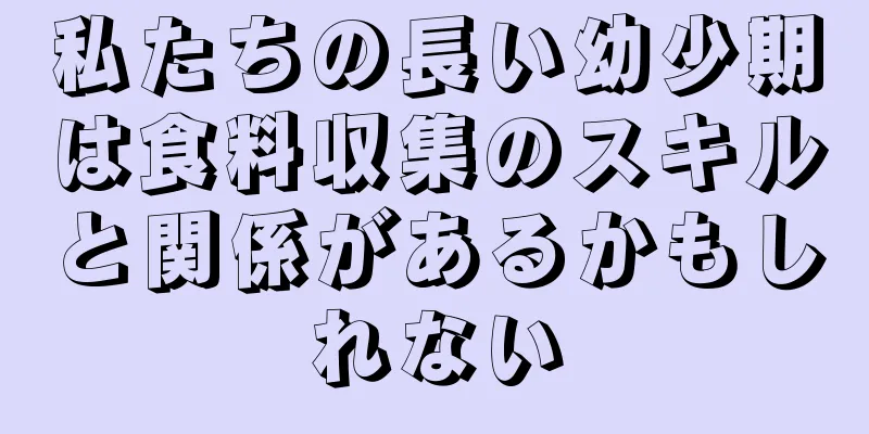 私たちの長い幼少期は食料収集のスキルと関係があるかもしれない