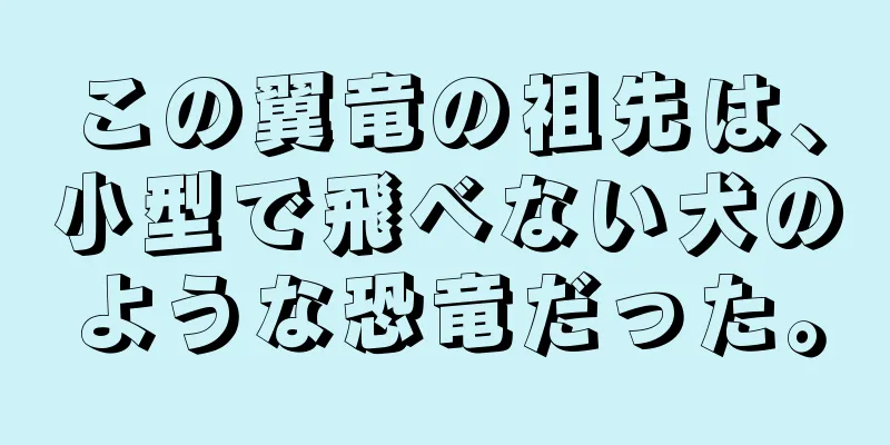 この翼竜の祖先は、小型で飛べない犬のような恐竜だった。
