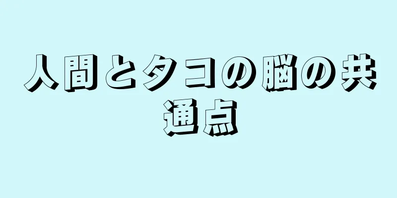 人間とタコの脳の共通点