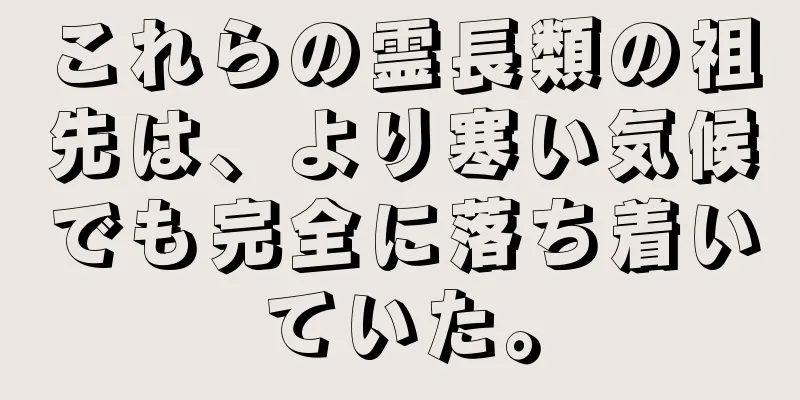 これらの霊長類の祖先は、より寒い気候でも完全に落ち着いていた。