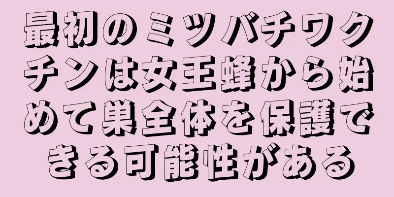 最初のミツバチワクチンは女王蜂から始めて巣全体を保護できる可能性がある