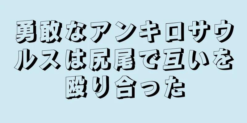 勇敢なアンキロサウルスは尻尾で互いを殴り合った