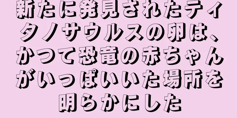 新たに発見されたティタノサウルスの卵は、かつて恐竜の赤ちゃんがいっぱいいた場所を明らかにした