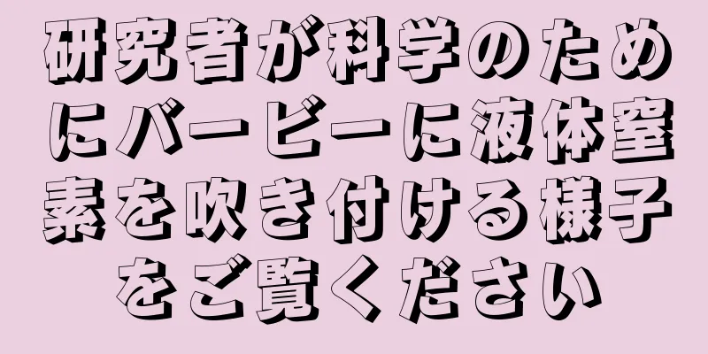 研究者が科学のためにバービーに液体窒素を吹き付ける様子をご覧ください