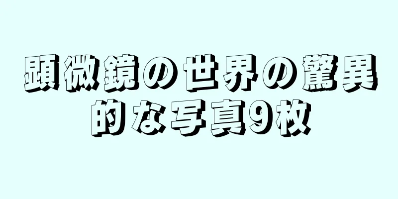 顕微鏡の世界の驚異的な写真9枚