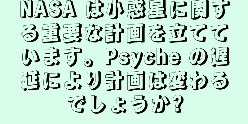 NASA は小惑星に関する重要な計画を立てています。Psyche の遅延により計画は変わるでしょうか?