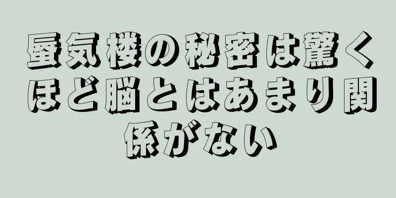 蜃気楼の秘密は驚くほど脳とはあまり関係がない