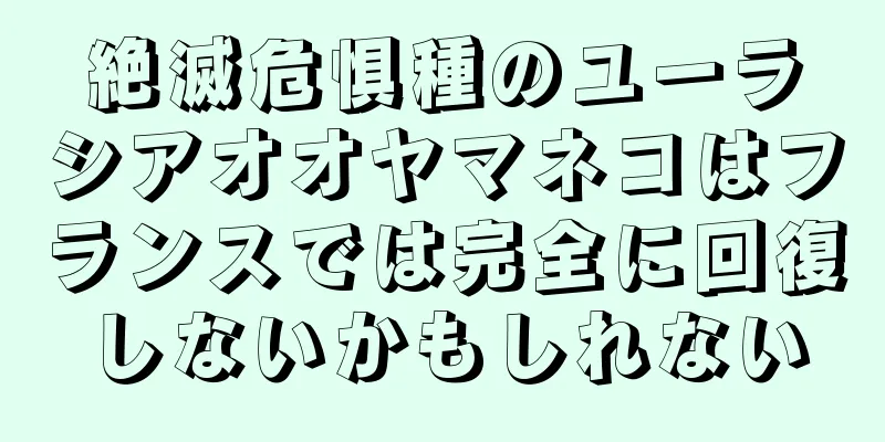 絶滅危惧種のユーラシアオオヤマネコはフランスでは完全に回復しないかもしれない