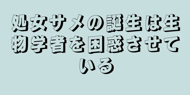 処女サメの誕生は生物学者を困惑させている