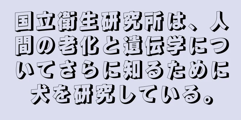 国立衛生研究所は、人間の老化と遺伝学についてさらに知るために犬を研究している。