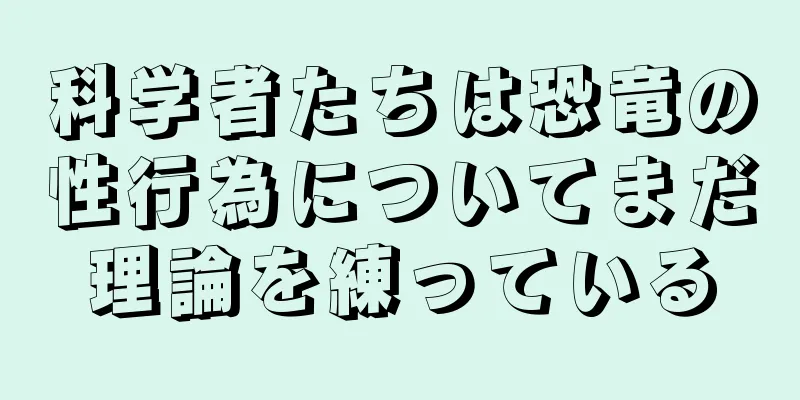 科学者たちは恐竜の性行為についてまだ理論を練っている
