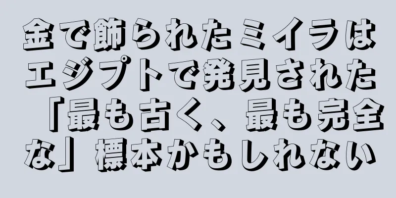 金で飾られたミイラはエジプトで発見された「最も古く、最も完全な」標本かもしれない
