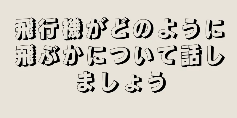飛行機がどのように飛ぶかについて話しましょう