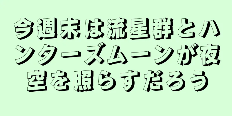今週末は流星群とハンターズムーンが夜空を照らすだろう