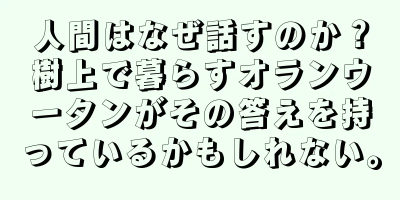 人間はなぜ話すのか？樹上で暮らすオランウータンがその答えを持っているかもしれない。
