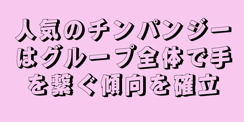 人気のチンパンジーはグループ全体で手を繋ぐ傾向を確立