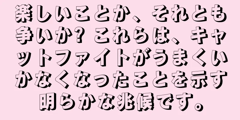 楽しいことか、それとも争いか? これらは、キャットファイトがうまくいかなくなったことを示す明らかな兆候です。