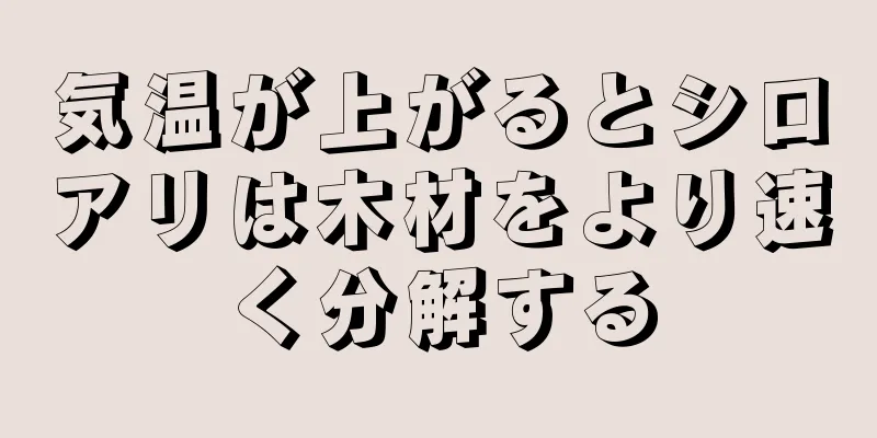 気温が上がるとシロアリは木材をより速く分解する